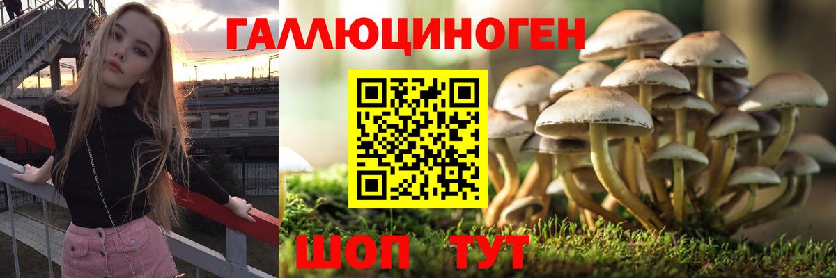 Петрозаводск  Галлюциногенные грибы Psilocybe  Галлюциногенные грибы Cubensis  Вход с VPN 