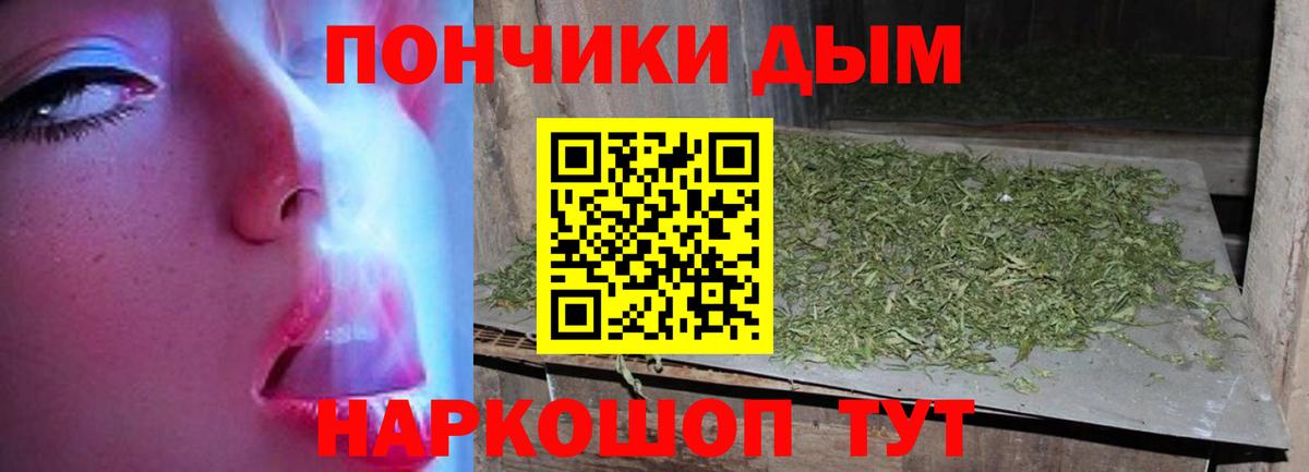 Бошки марихуана планчик  Бошки марихуана SATIVA & INDICA  Вход с VPN  Каннабис планчик  Марихуана индика  Петрозаводск 